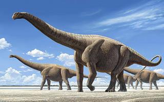 massive dinosaurs
